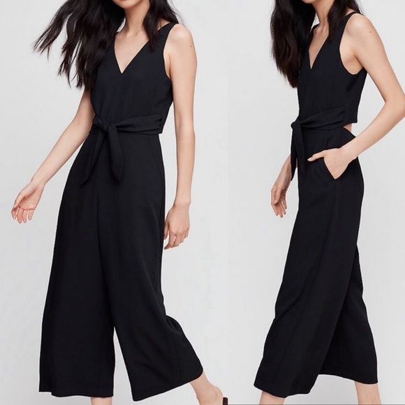 aritzia ecoulement v jumpsuit